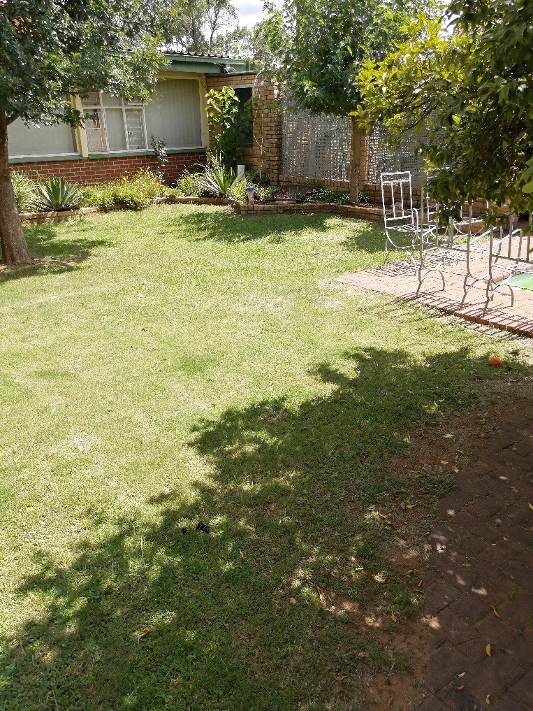 To Let 1 Bedroom Property for Rent in Universitas Free State